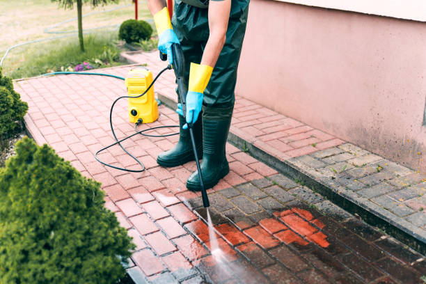 Best Sidewalk Pressure Washing  in Lake City, MN