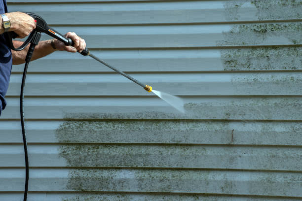 Best Commercial Pressure Washing  in Lake City, MN