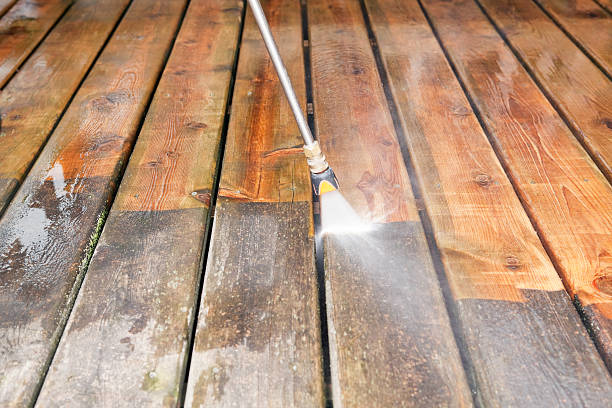 Best Deck Cleaning Services  in Lake City, MN