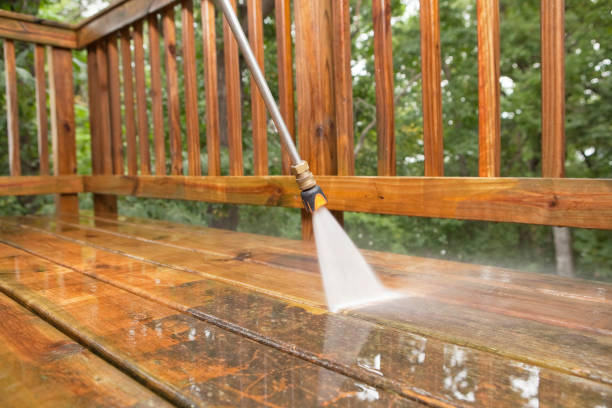 Local Pressure Washing Services in Lake City, MN