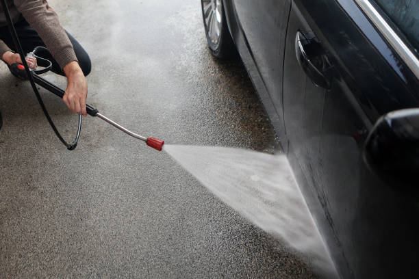 Best Exterior Home Cleaning  in Lake City, MN