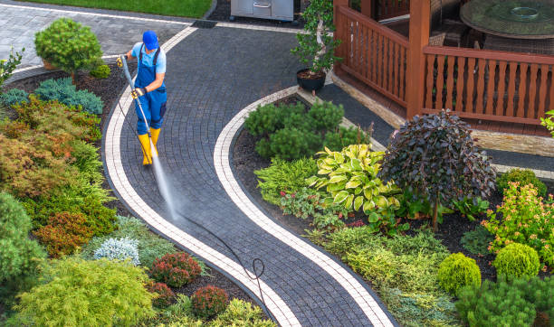 Best Pressure Washing Company Near Me  in Lake City, MN