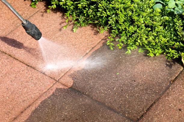 Best Pressure Washing Patio  in Lake City, MN